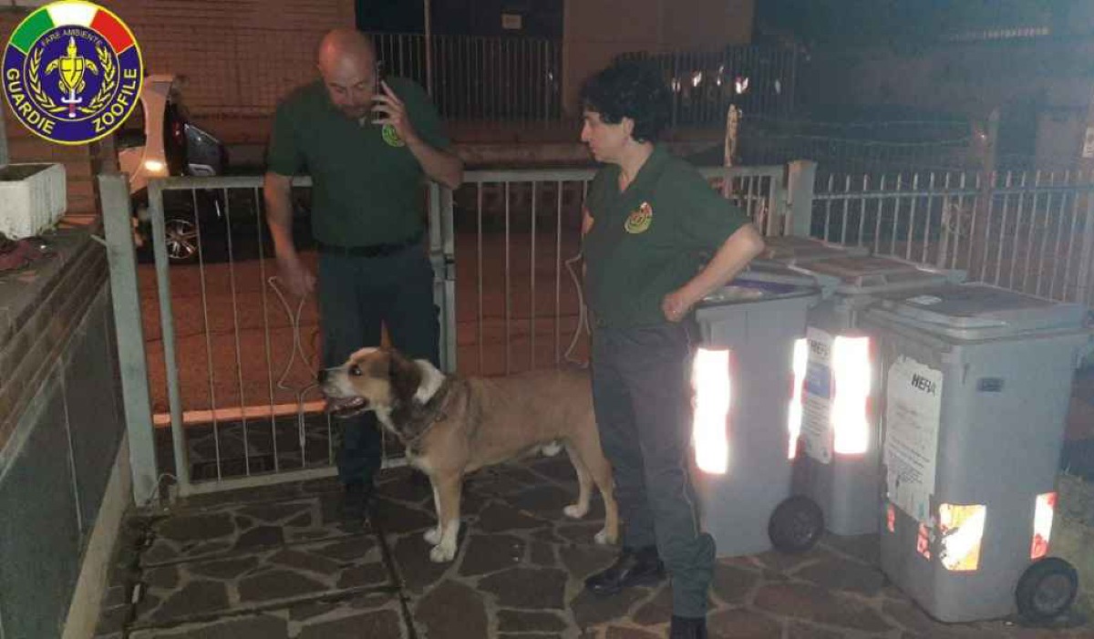 Rimini, continua la collaborazione tra comune e guardie zoofile di Fare Ambiente Rimini -