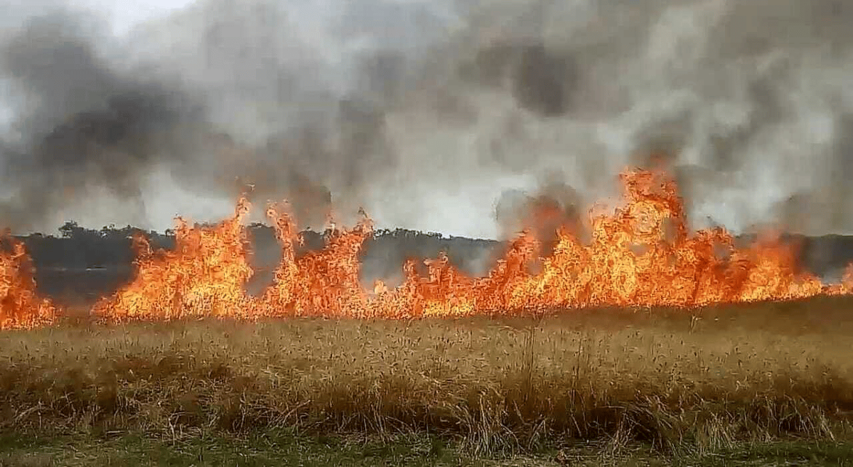 Incendio in un campo di grano a Montecopiolo: agricoltore evita il peggio - Archivio