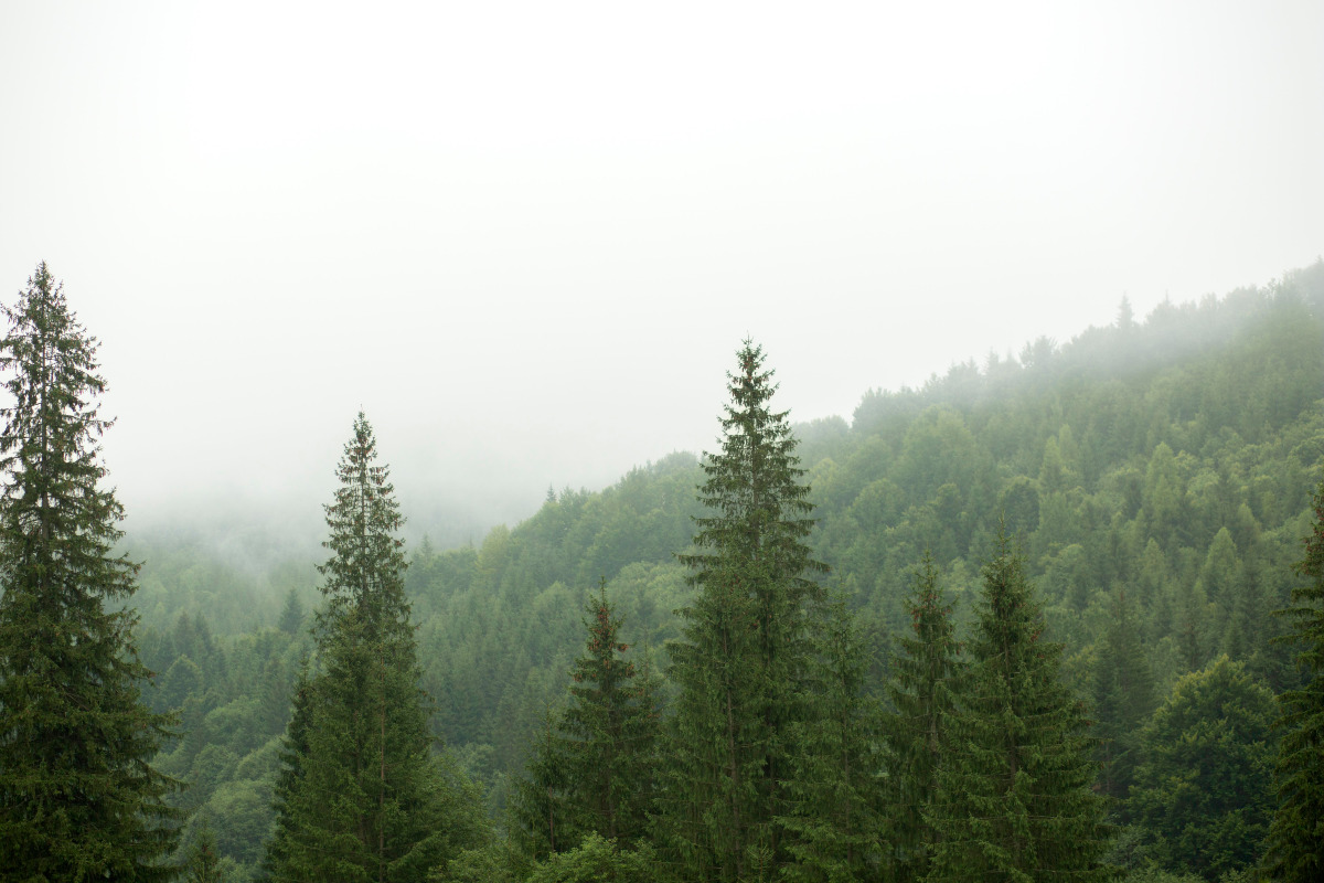 Il panorama che sta sorprendendo tutti | Colle di Covignano, tra leggende e curiosità incredibili - Immagine di fantasia: freepik