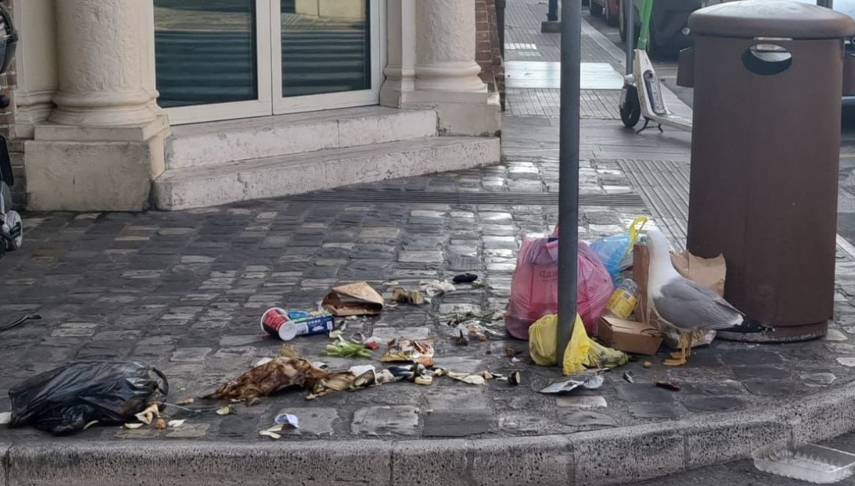 Spariti i cassonetti in via Vittime Civili di Guerra: immondizia a terra. La segnalazione -