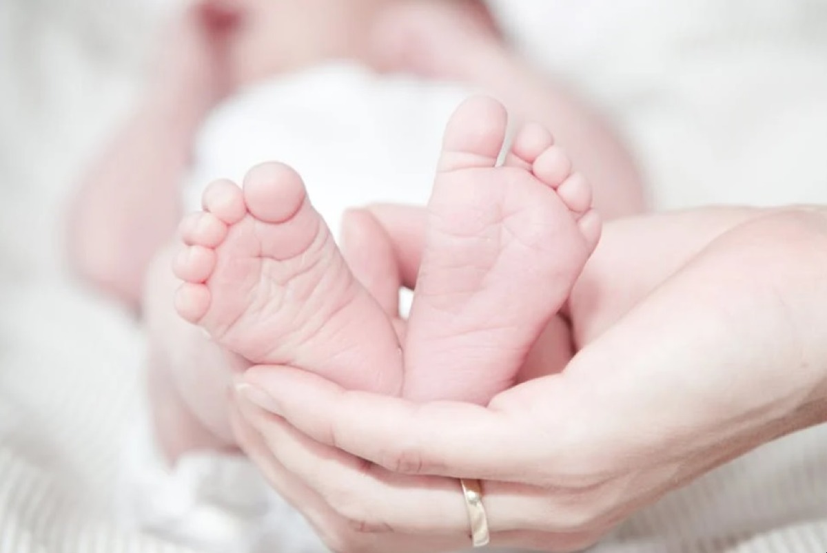 "No mascherine, vaccini ai neonati e tamponi": denunciata l'avvocata che manda diffide agli ospedali -