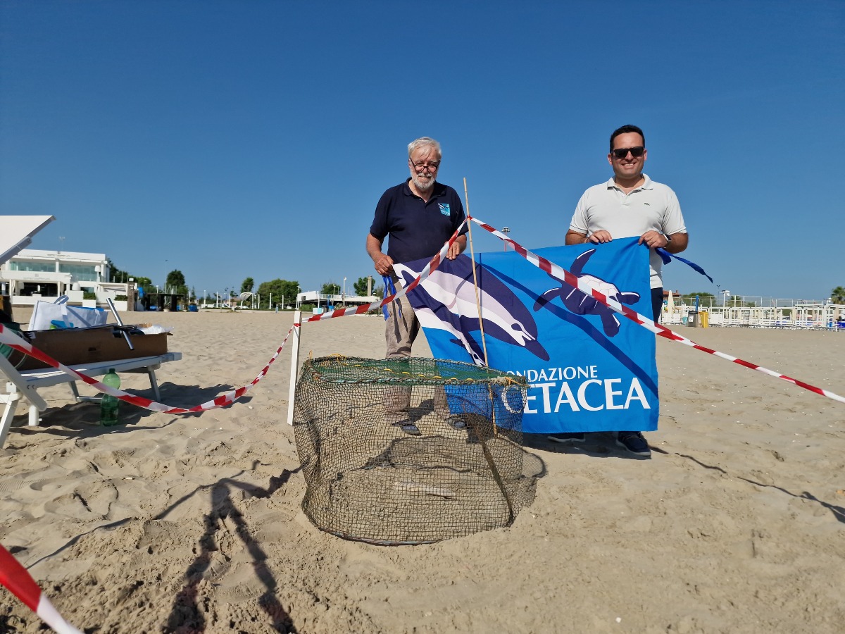 Riccione, nido di tartaruga marina sulla spiaggia: scatta la zona protetta - Sauro Pari e Christian Andruccioli