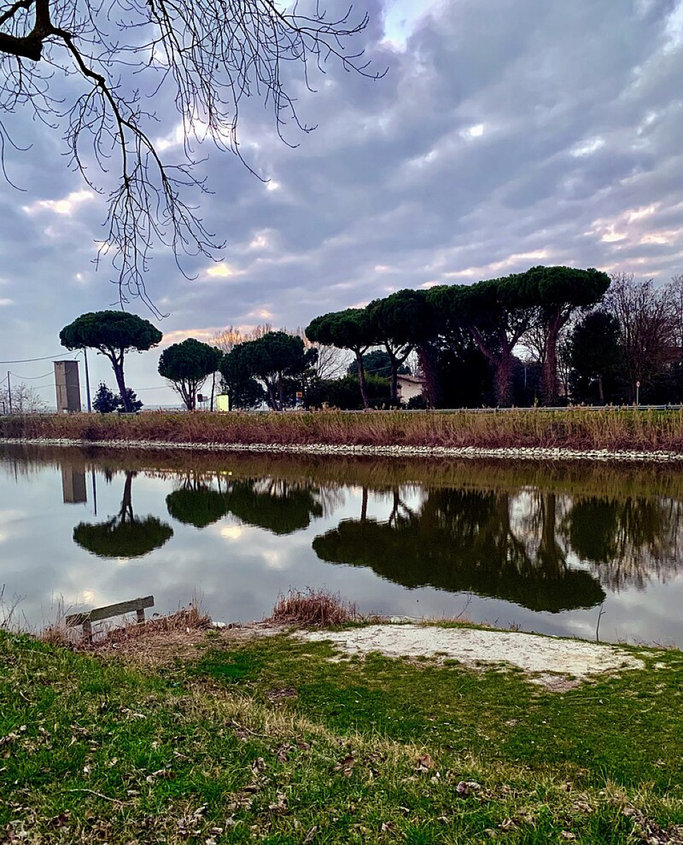 Una meraviglia naturale: la laguna di Ravenna e il mondo nascosto degli aironi - Foto: AL2149/Wikipedia