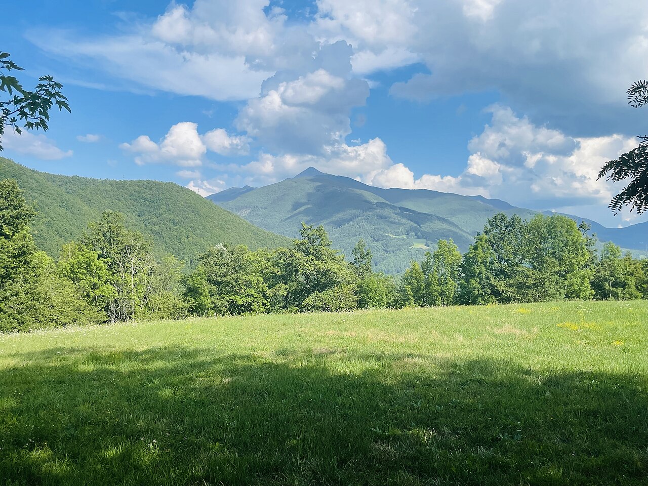 Monte Cimone nel verde