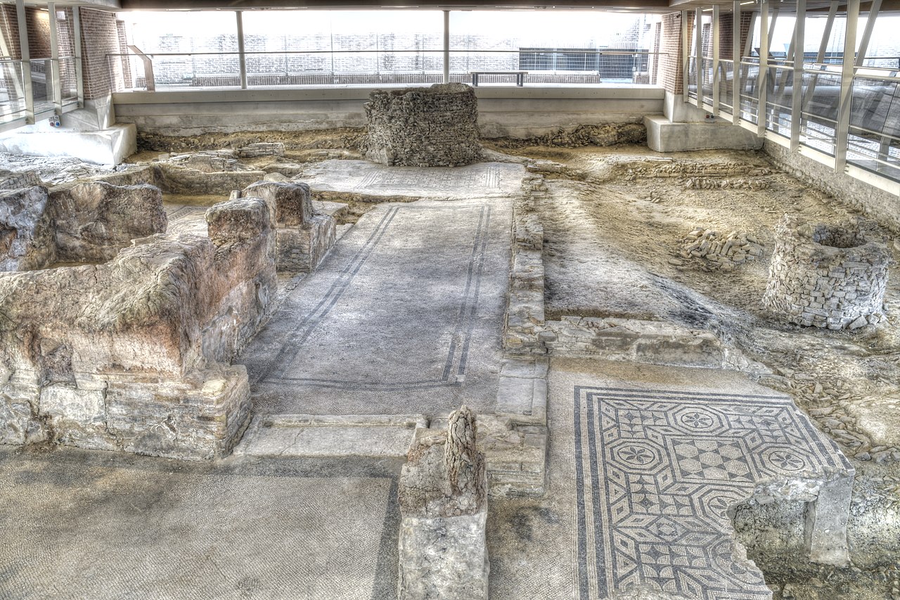 Domus del chirurgo