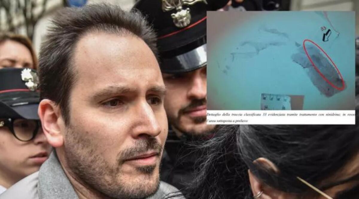 Caso Poggi, i legali della famiglia: "Impronta 33 non è di Sempio" - 