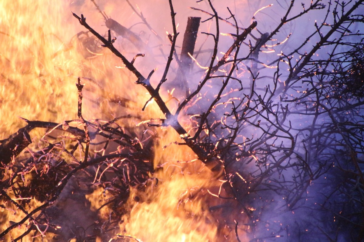 Maxi incendio a Creta, evacuate 5.000 persone a Lasithi: il vento ostacola i soccorsi - Repertorio