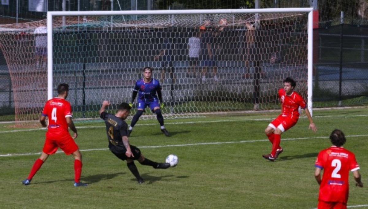 Calcio, Lombardi al Carpi. Mister D'Amore ha firmato per il Legnago - L'attaccante Alessandro Torsani
