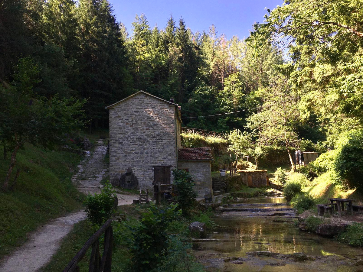 La sua storia è un enigma: il mulino emiliano dove passato e presente si fondono - Foto: MoniaM/Wikiloc