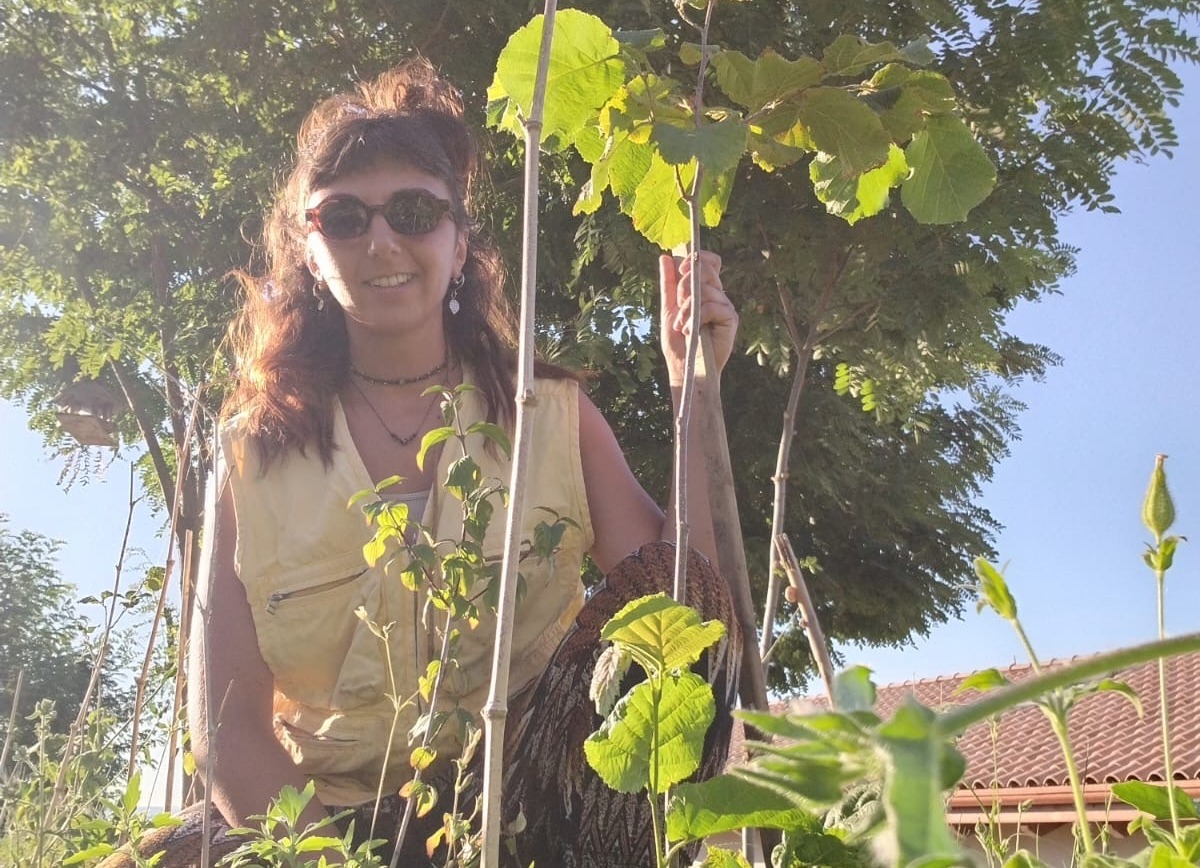 Ambiente ed ecologia, la GmmChallenge25 regala a Rimini 300 piante nettarifere -