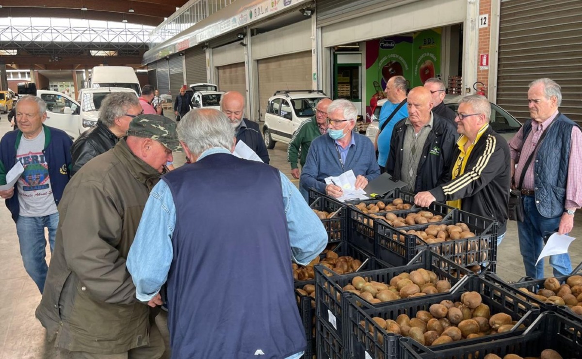 Logistica Solidale: da Parma a Rimini, frutta e verdura contro lo spreco e per chi ha bisogno -