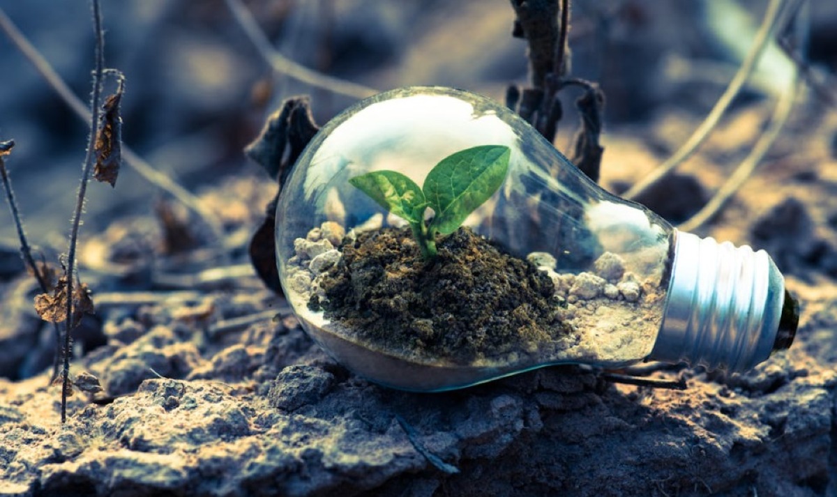 Transizione energetica e sostenibilità ambientale al centro del convegno a Rimini e Ravenna -