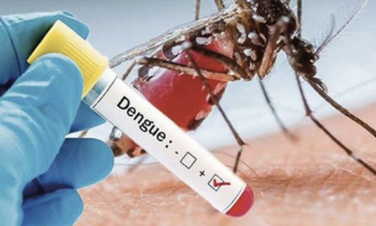 Sospetto caso di Dengue a Cesena: scatta la disinfestazione in centro -