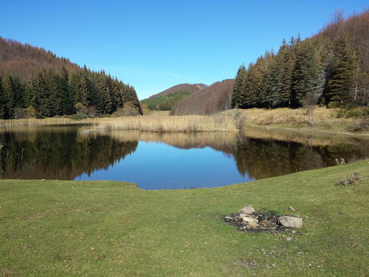 La torbiera segreta dell’Appennino, natura selvaggia tra monti e piante killer - Foto: ippiu/Wikiloc