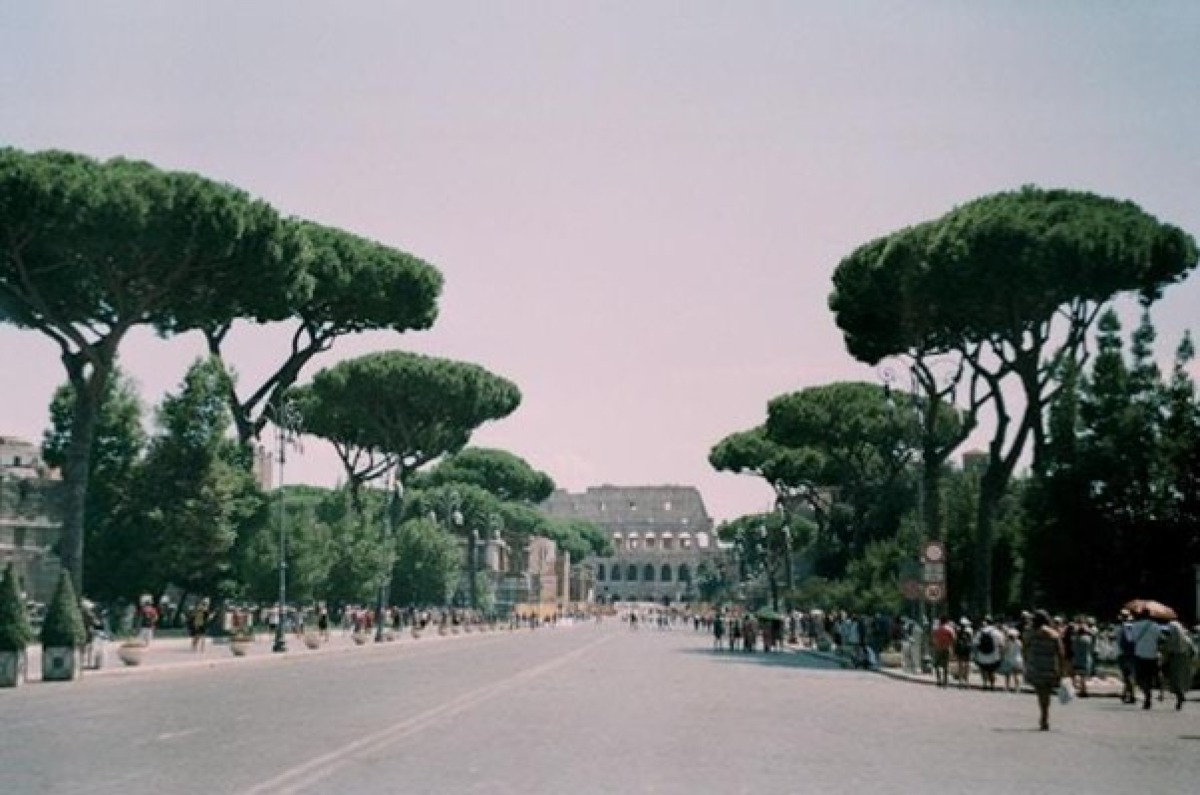 Visitare Roma in 3 giorni: cosa fare e vedere -