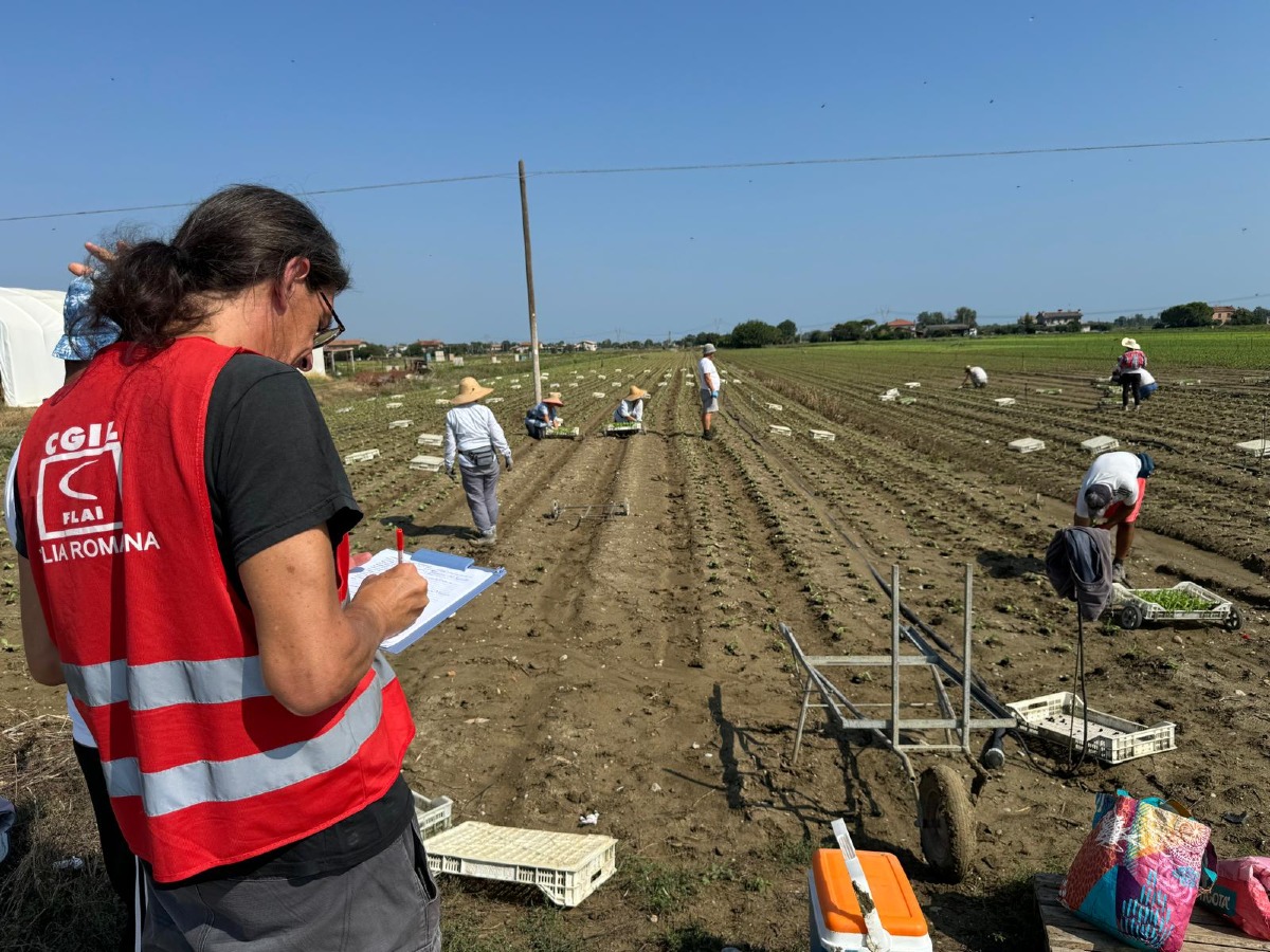 Flai Cgil in campo contro lo sfruttamento agricolo - 