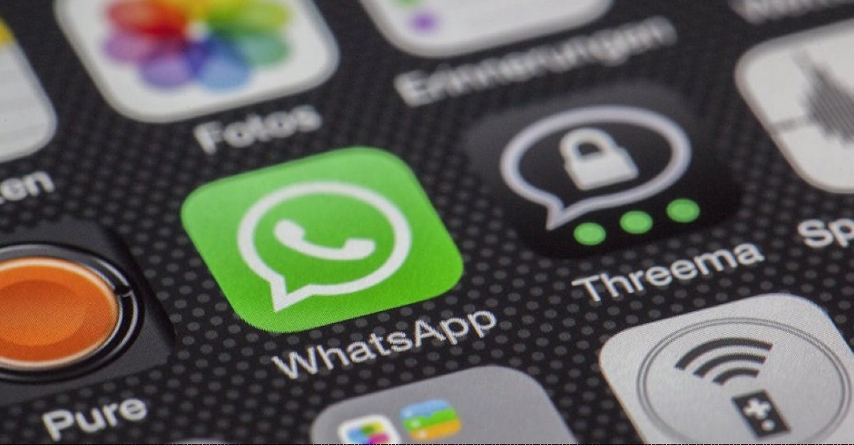 Riccione lancia il canale WhatsApp per cittadini, turisti e operatori - 