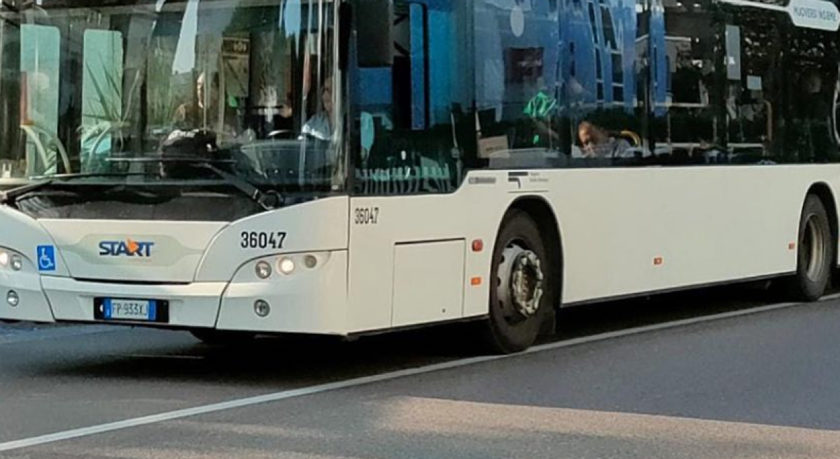 Video incastra vandali sul bus: tre minorenni risarciscono e chiedono scusa -