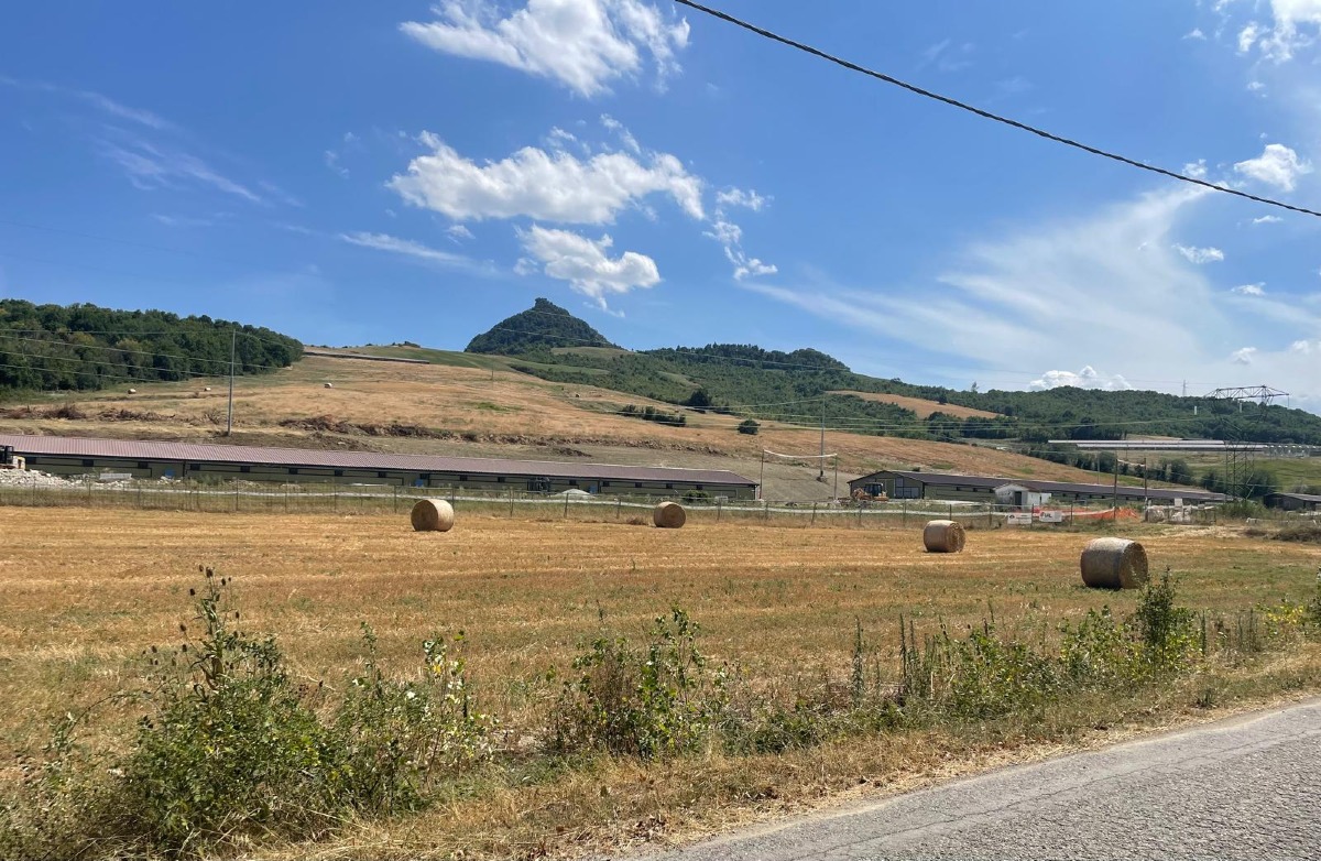 Allevamento Fileni, il Comitato risponde al Sindaco: "non esiste nessun cronoprogramma" -