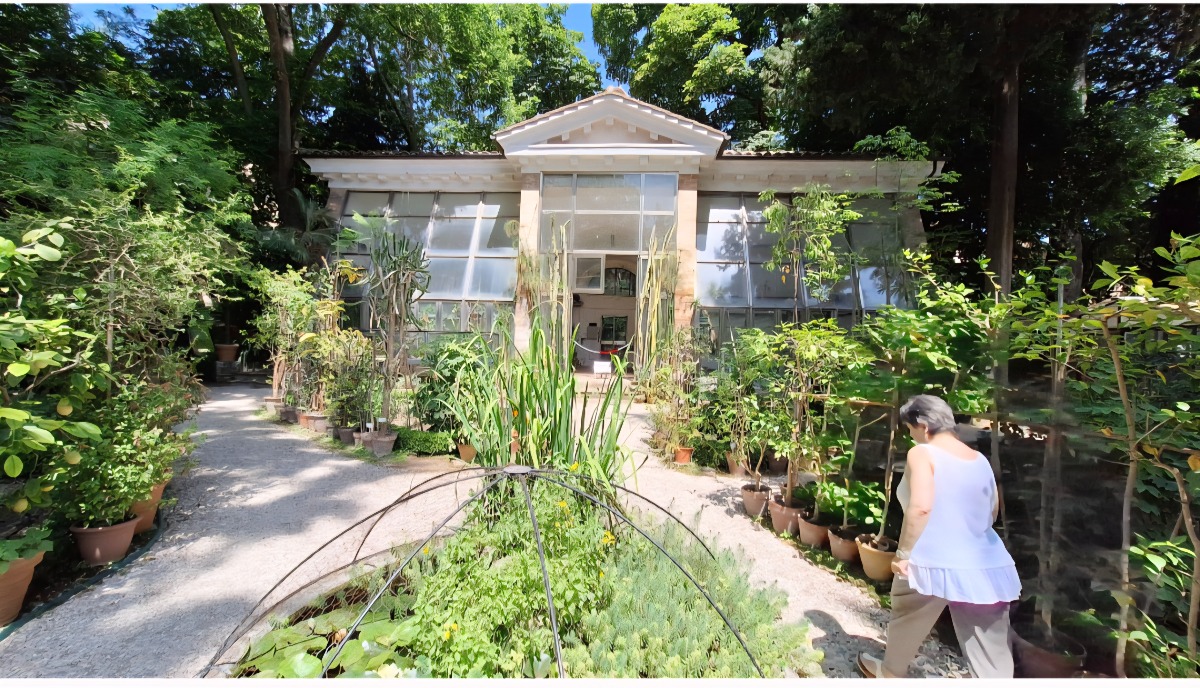 Urbino accoglie l'artista Toni Venzo: all’Orto Botanico la mostra “Paesaggi interiori" -