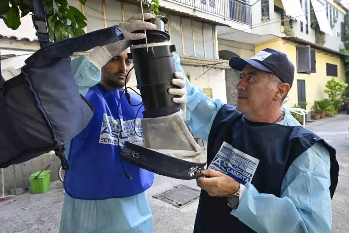 West Nile: 7 vittime in Italia, stop temporaneo alle donazioni di sangue in 31 province - West Nile, in provincia Caserta trappole per monitorare zanzare, © Ansa