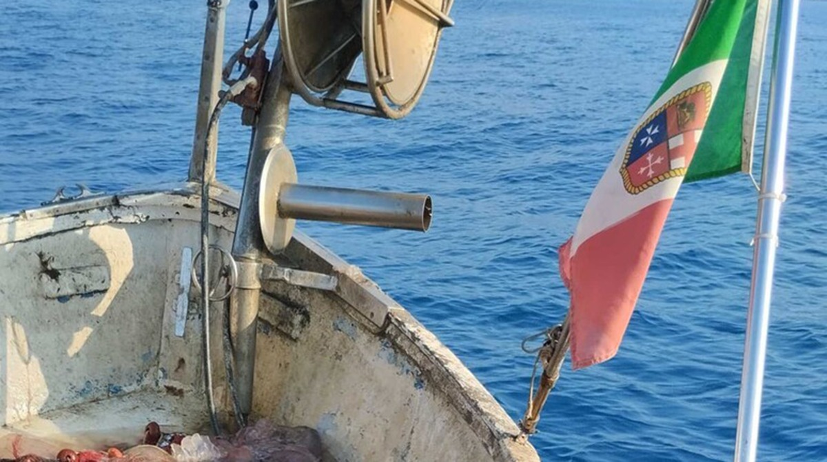Pesca in crisi per invasione di meduse: -30% di pescato e seppie quasi sparite (-70%) -