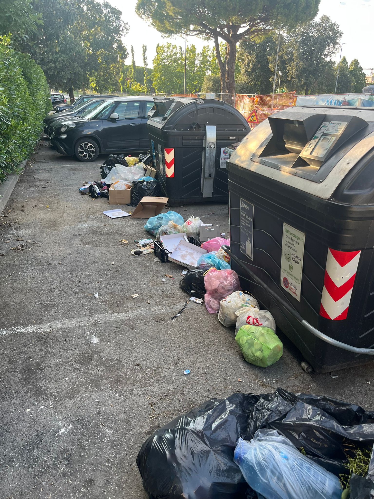 Rifiuti abbandonati a Viserba