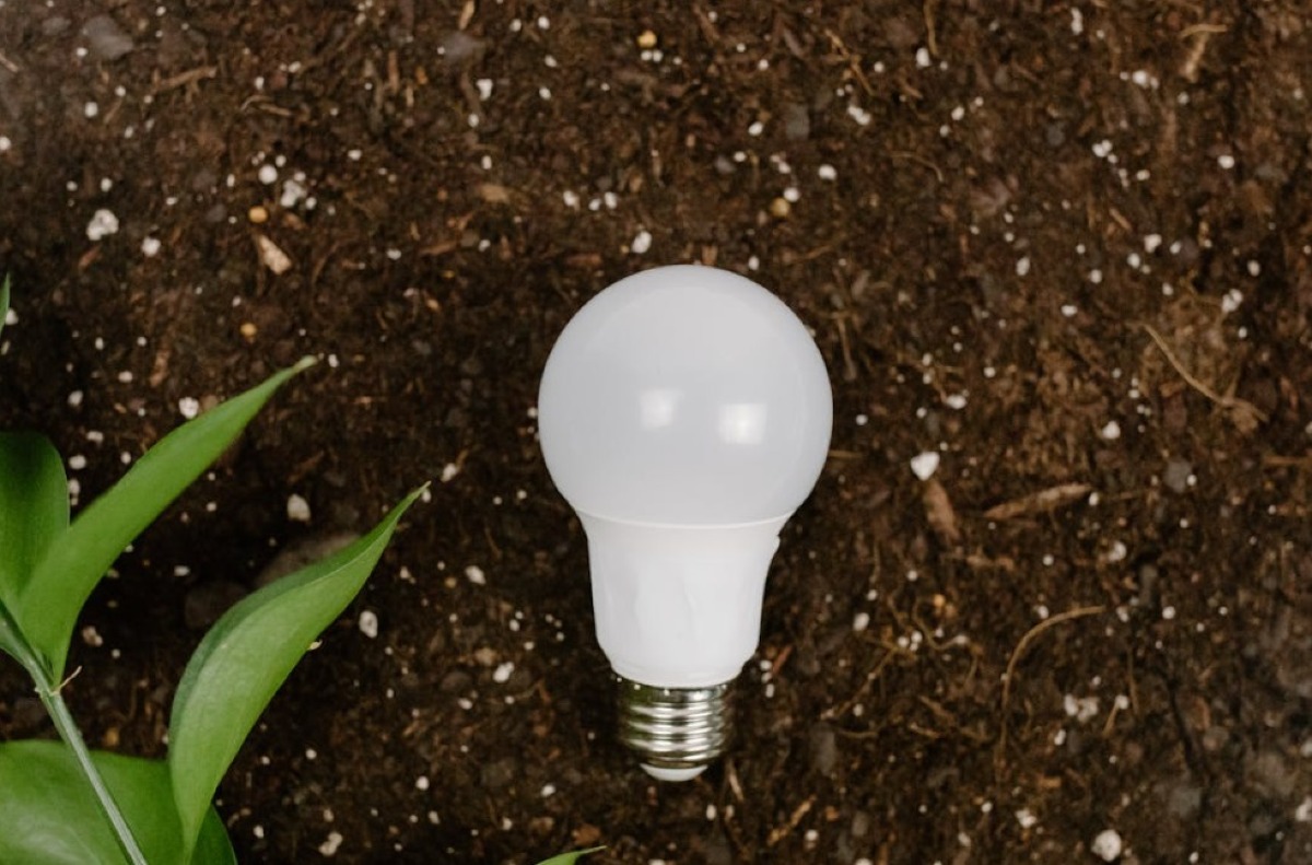 Energia pulita e condivisa: Rimini punta su una comunità energetica rinnovabile e sociale -