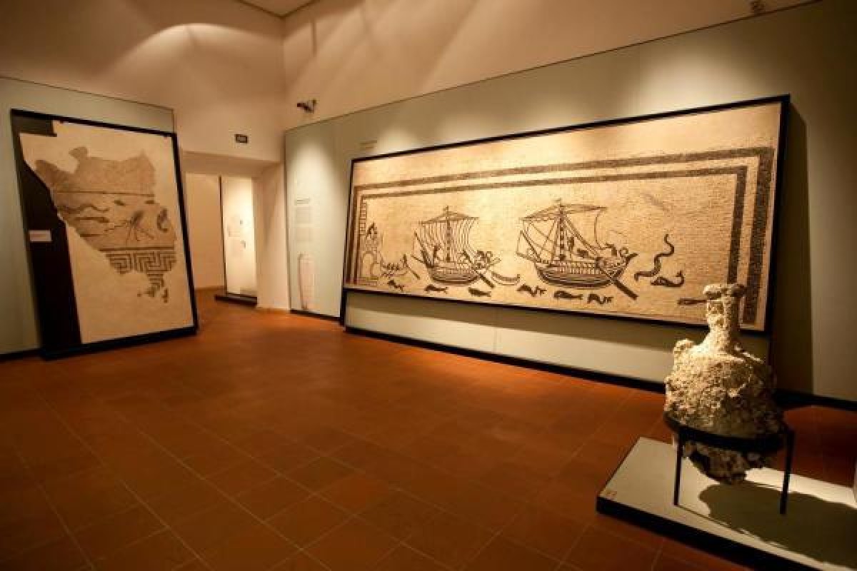 Rimini, 45 candidati alla carica di direttore dei Musei Comunali - Museo della Città Luigi Tonini