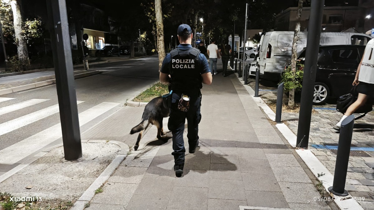 Sicurezza a Villa Verucchio: controlli notturni con unità cinofila -