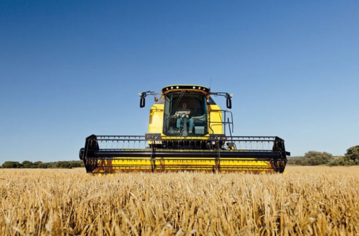 Recuperare i terreni incolti e coltivare cereali: "La Romagna diventi il granaio del Nord" - Agricoltura