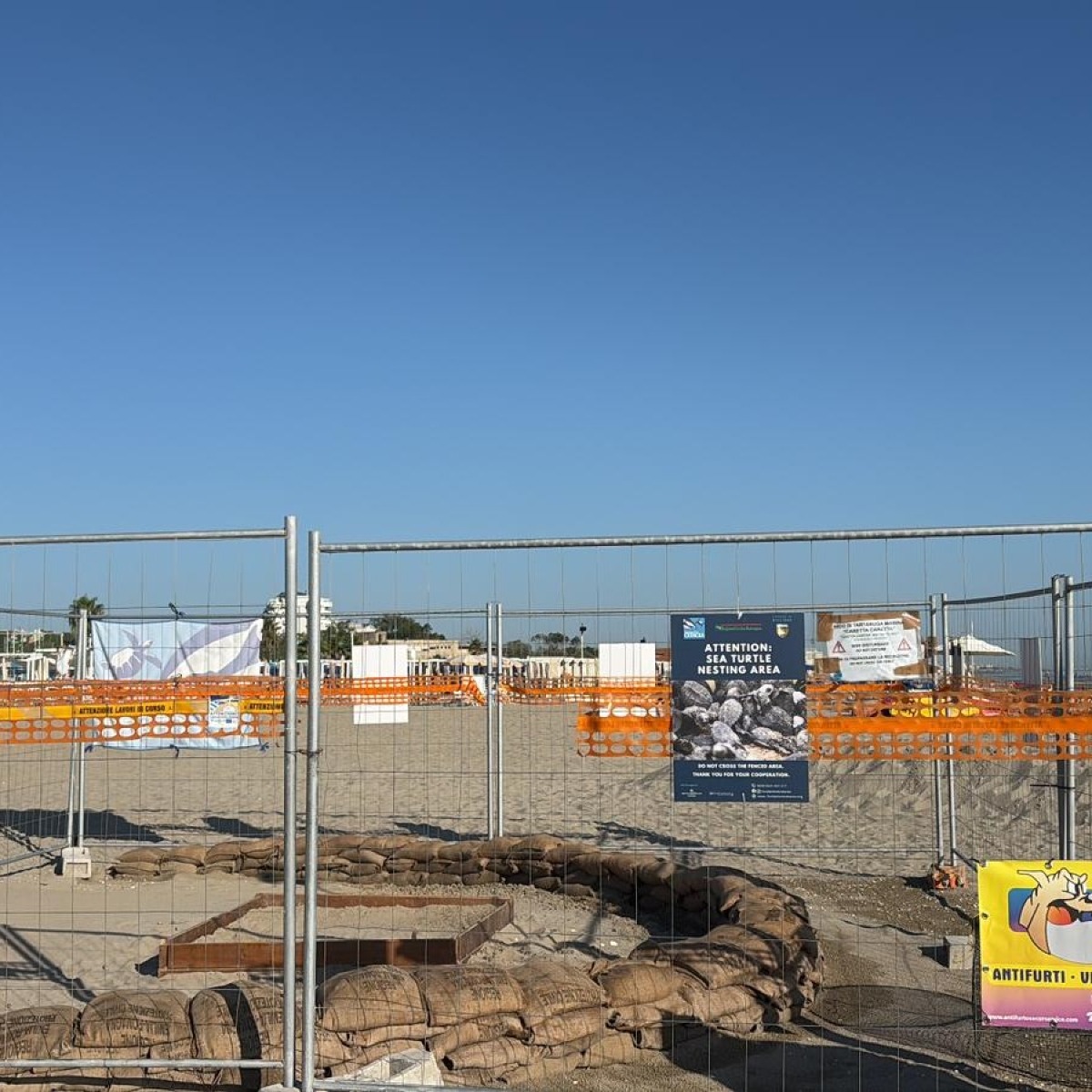 Riccione si prepara alla schiusa delle tartarughe Caretta caretta sul Marano - 
