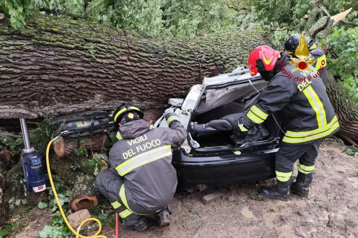 Fulmine abbatte quercia su un’auto, un morto e tre feriti gravi - 