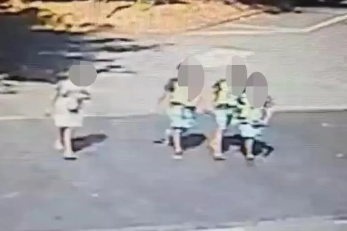 Donna uccisa a Milano, ragazzino alla guida: "Freni funzionavano male" -