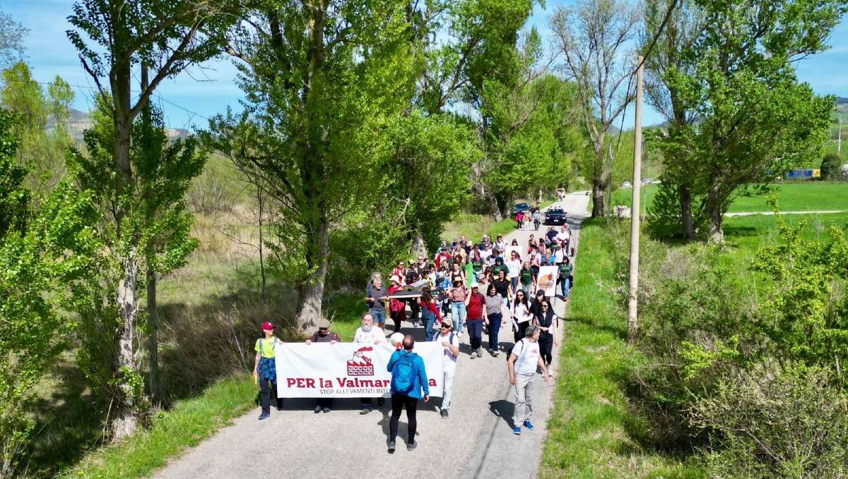 Comitato Per la Valmarecchia, il direttivo si dimette: "Serve nuovo inizio" - Comitato Per la Valmarecchia
