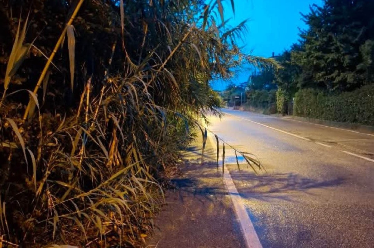 Via Sacramora, comitato attacca: "Verde incolto, pedoni e ciclisti devono spostarsi in strada" - 