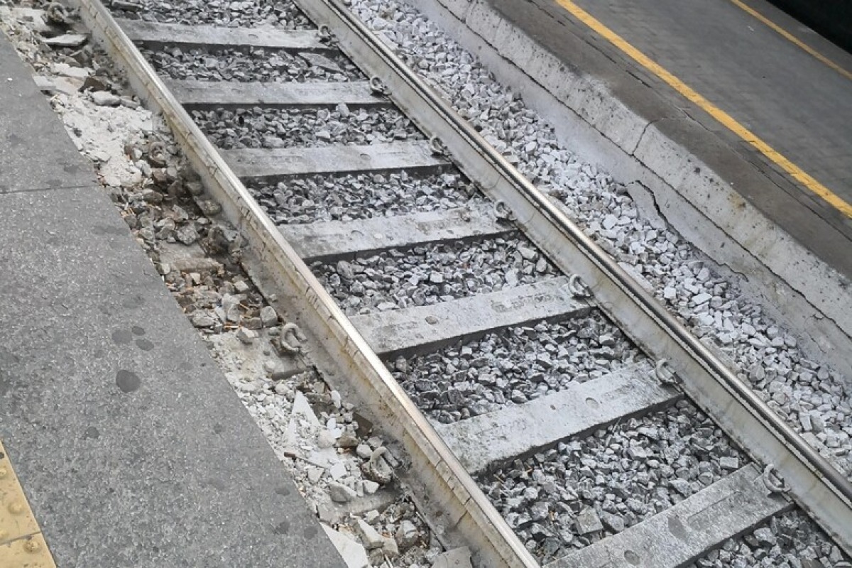 Maltempo: a Bellaria è caduto un albero sui binari. Treno bloccato e passeggeri evacuati -