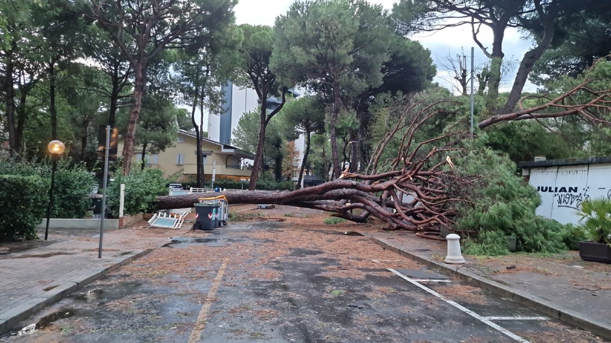Nubifragio in Romagna: "siamo in campo per rimediare e tornare al più presto alla normalità" -