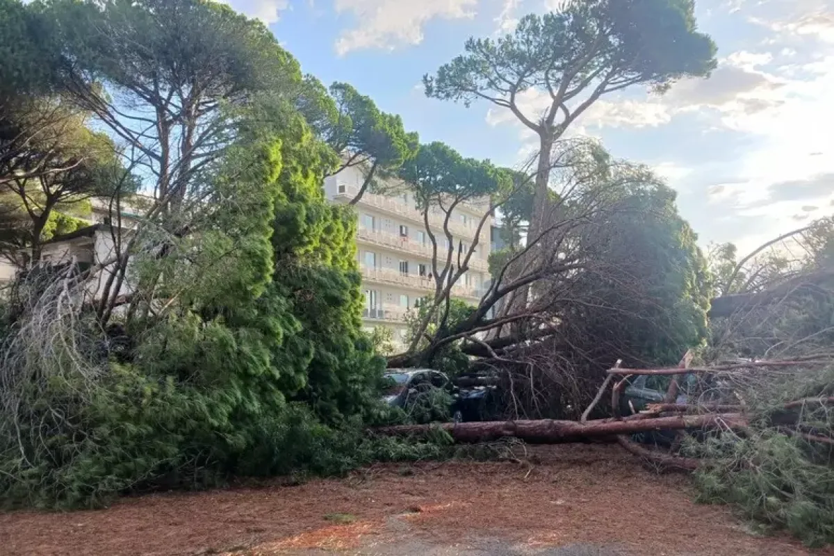 Nubifragio spazza il litorale romagnolo: "Autentica supercella marittima" - laMilano Marittima pini sulle auto, zone irraggiungibili
