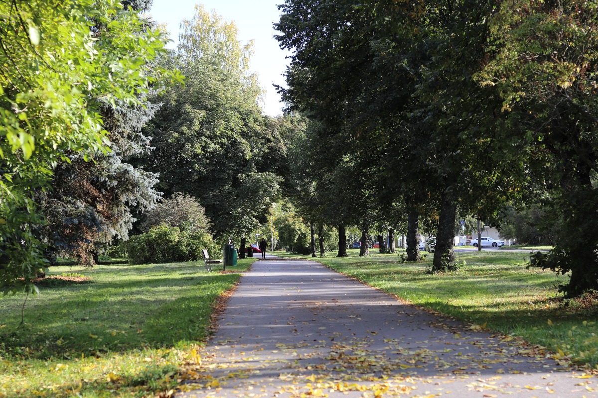 Donna di 60 anni denuncia violenza sessuale in un parco di Roma - Foto repertorio