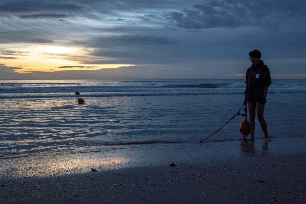 Riccione, nido in spiaggia: 4 piccole tartarughe sono partite verso il mare -