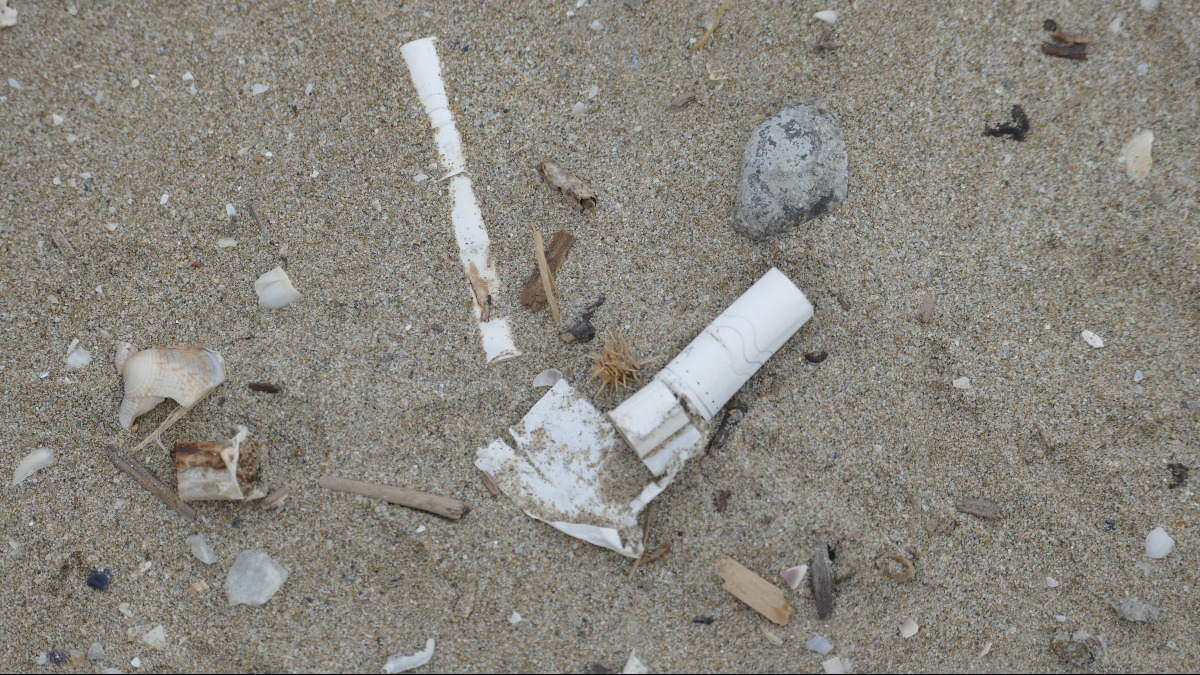 Rimini, spiaggia libera di Miramare: oggi tutti insieme per rimuovere rifiuti e proteggere la natura -