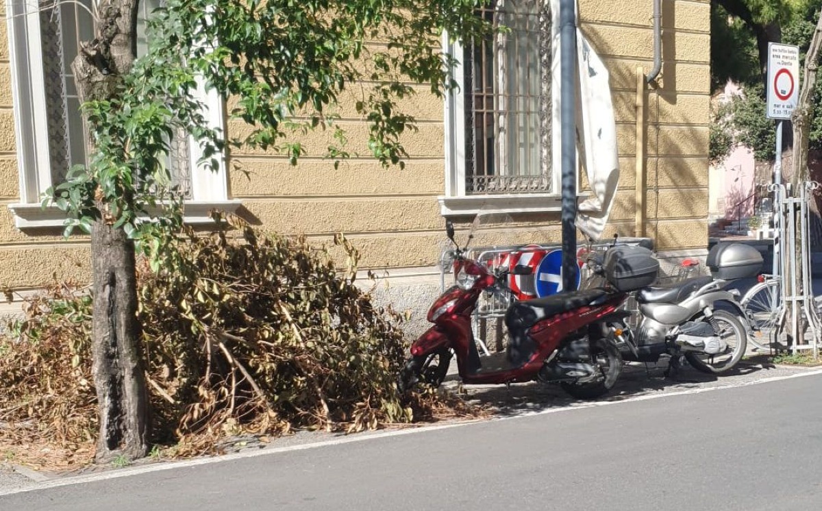 Rimini, resti del maltempo ancora a bordo strada. La segnalazione - 