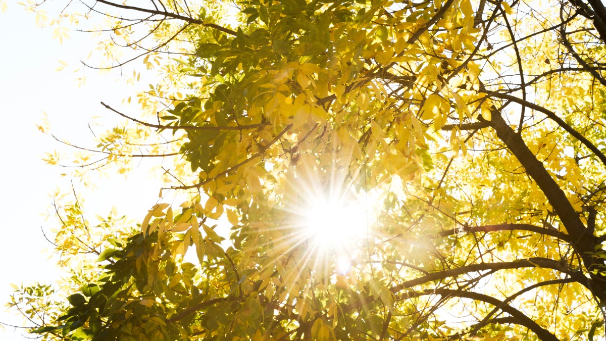 Weekend con pieno sole e temperature in aumento -