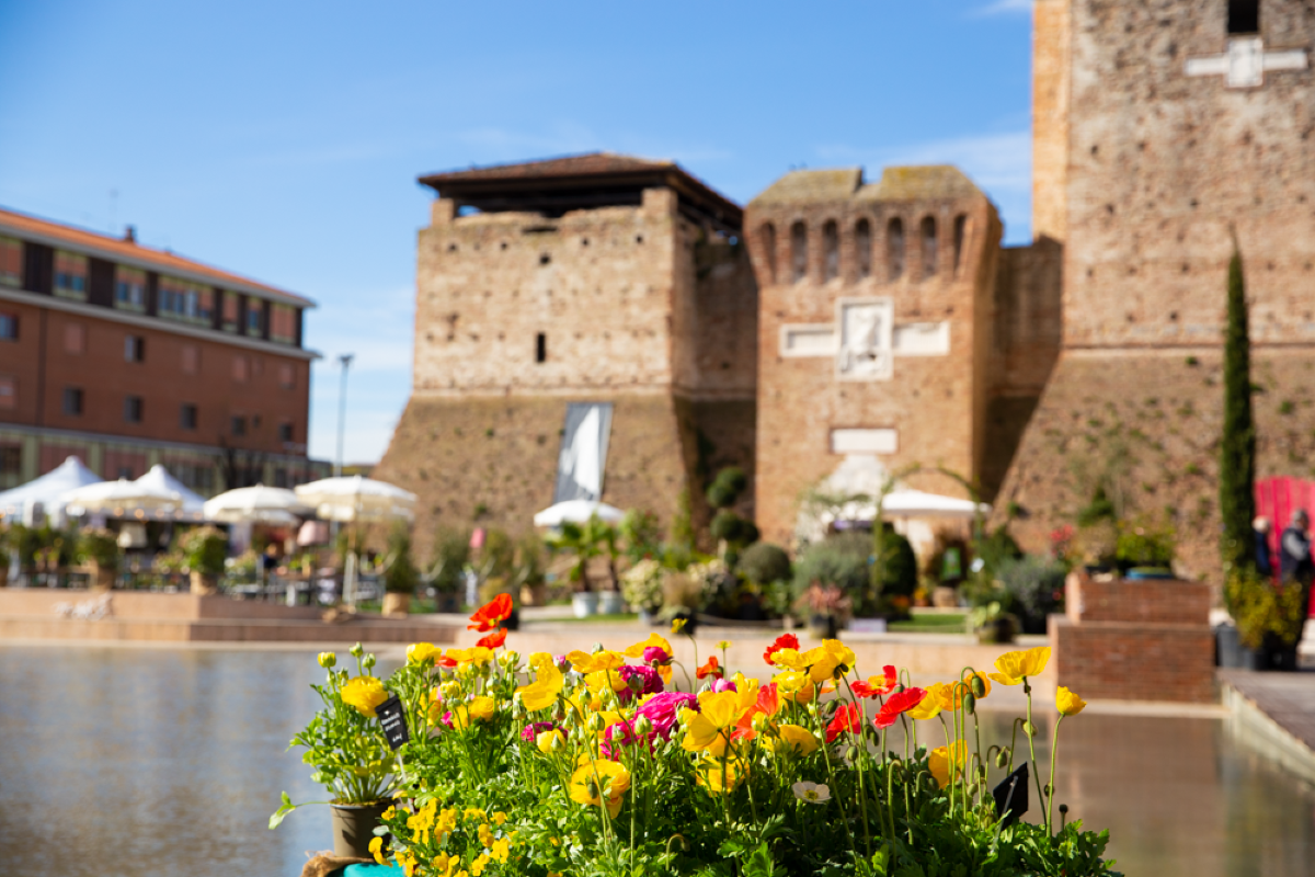 Cosa fare a Rimini questa settimana: musica, sport e... Giardini d’Autore - 