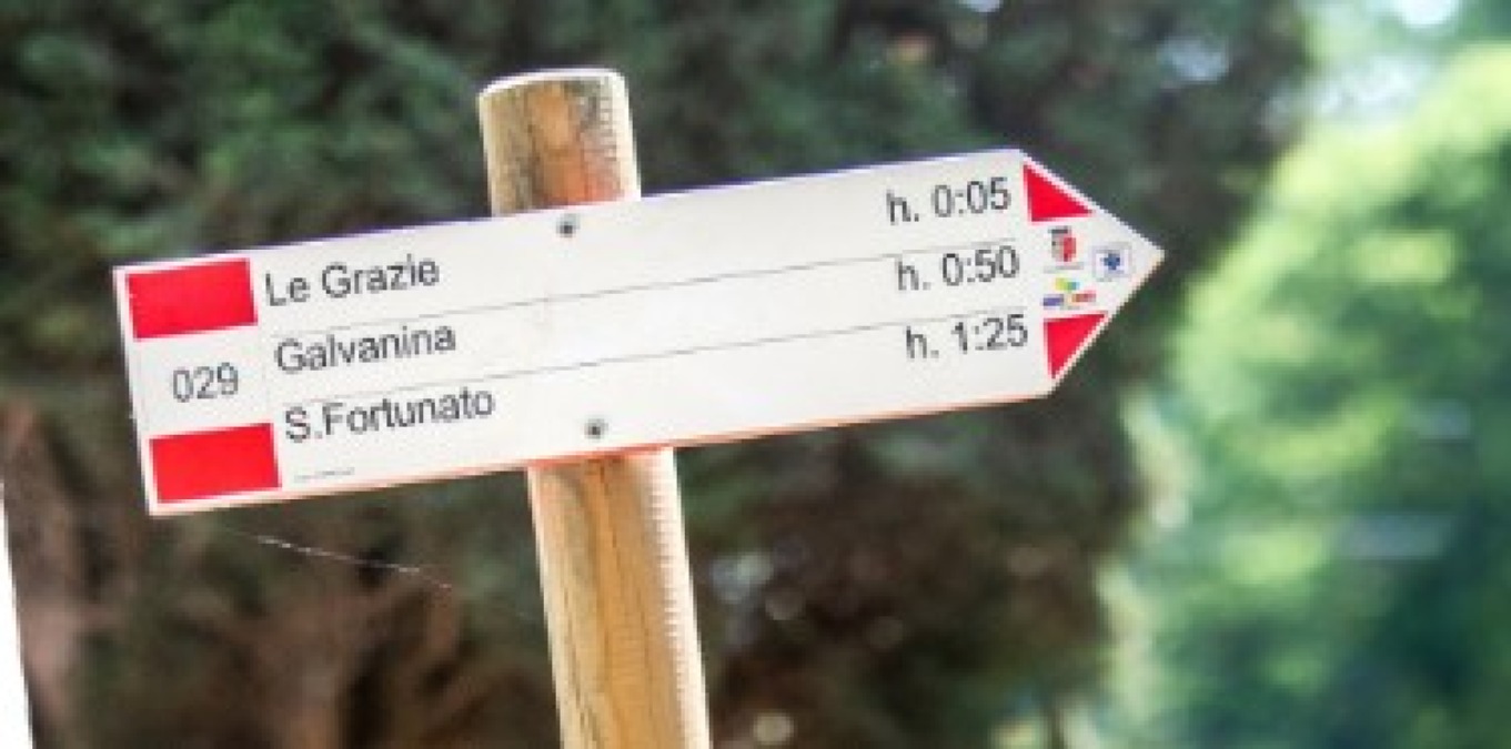 Un escursione sul Colle di Covignano per ricordare la Liberazione di Rimini - 