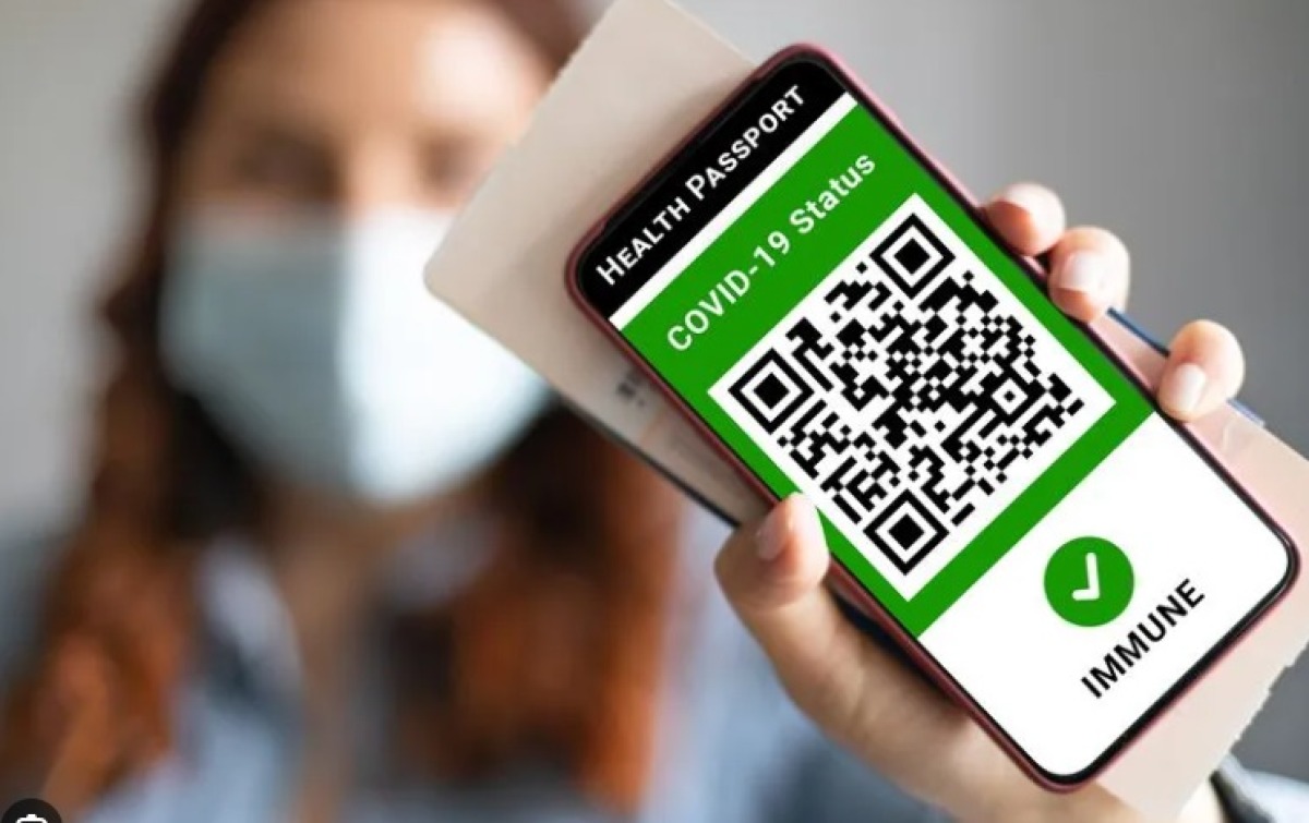 Udienza a Rimini per i green pass falsi: 75 indagati e 118 imputazioni - 