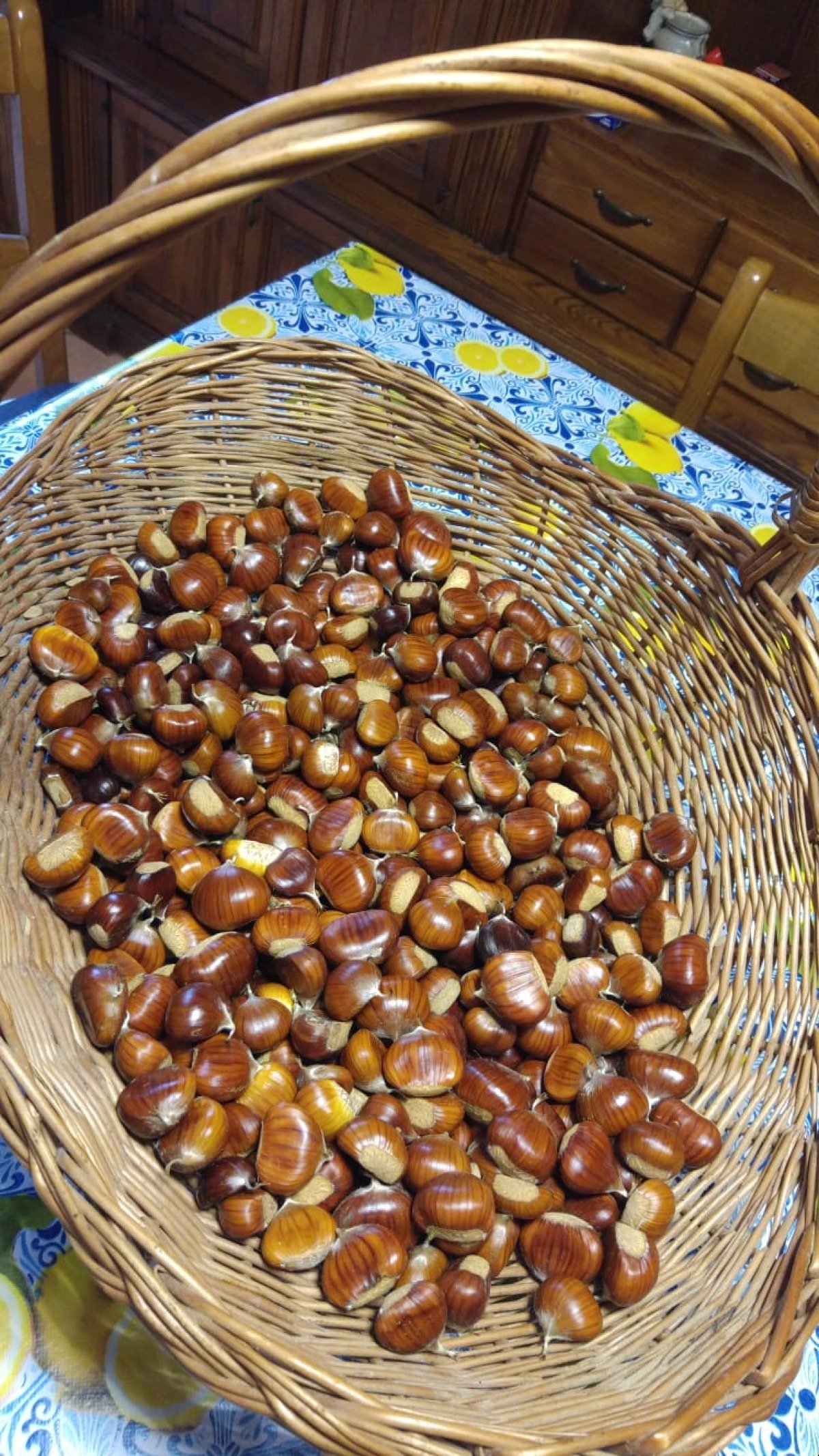 Nella splendida Valmarecchia d’autunno: è tempo di castagne! - 