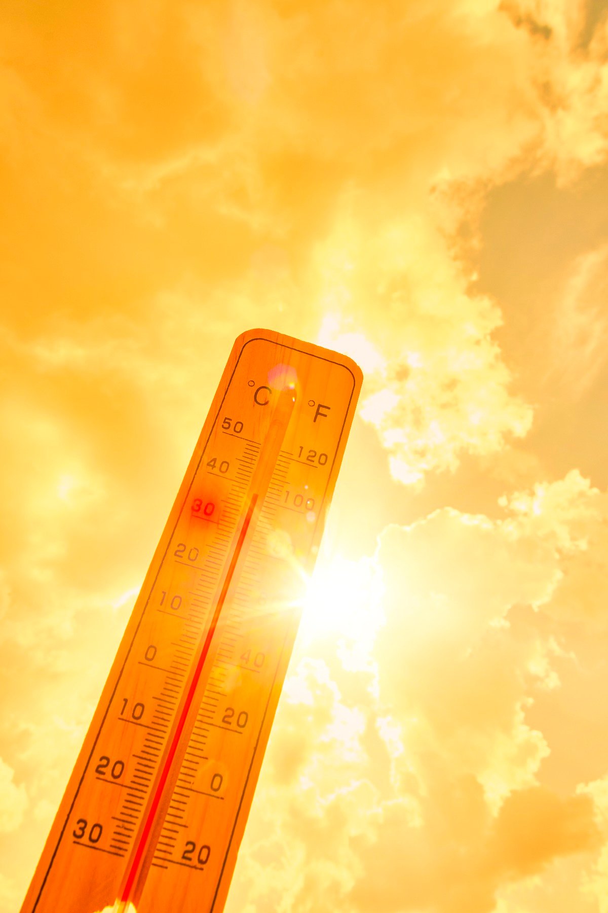 Caldo fuori stagione invade l'Italia prima del ritorno del freddo - 