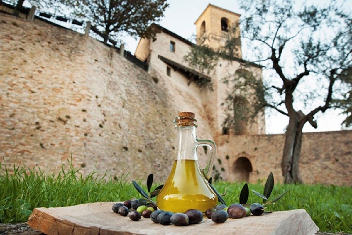 Valconca, una stagione di gusto e cultura tra colline e borghi medievali -